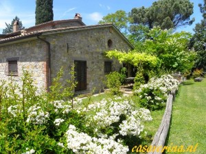 pergola loggia 3